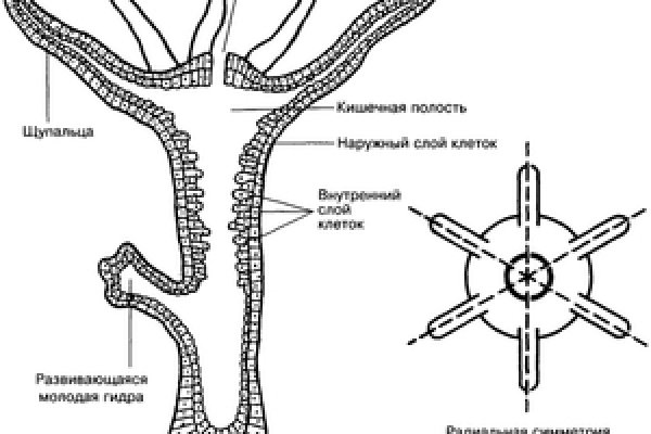 Как восстановить аккаунт на кракене даркнет